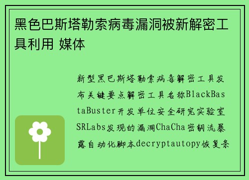 黑色巴斯塔勒索病毒漏洞被新解密工具利用 媒体