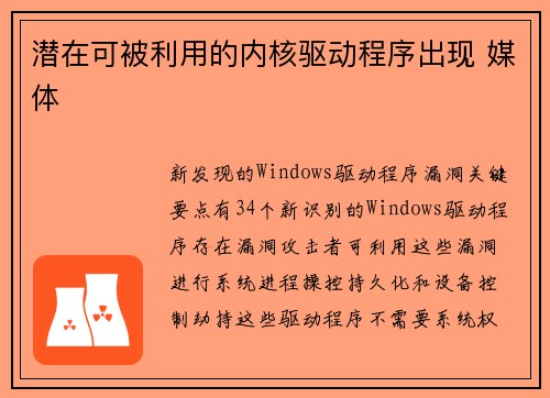 潜在可被利用的内核驱动程序出现 媒体
